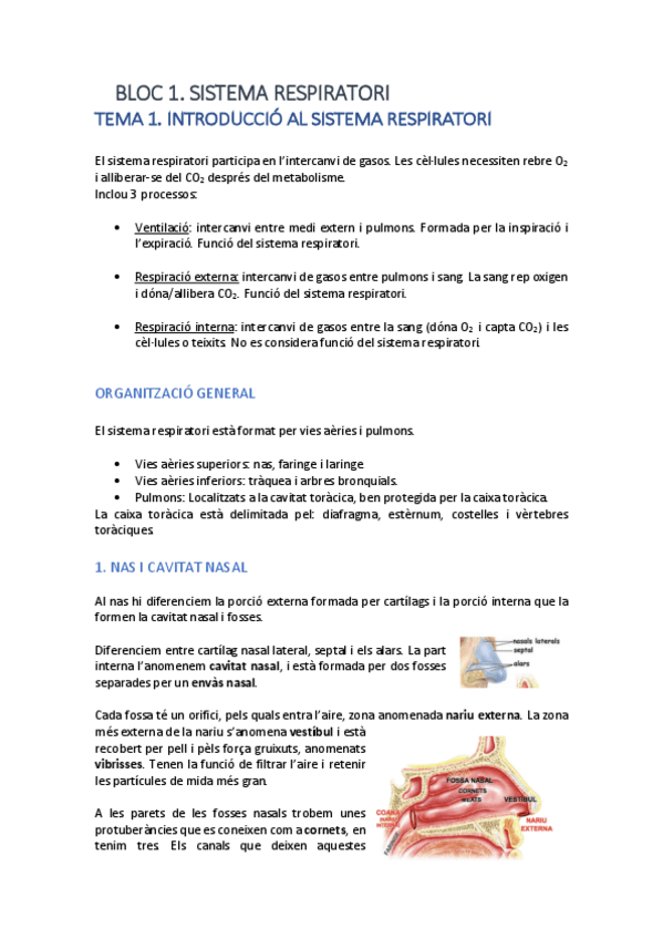 Miniatura del documento TEMA-1.pdf