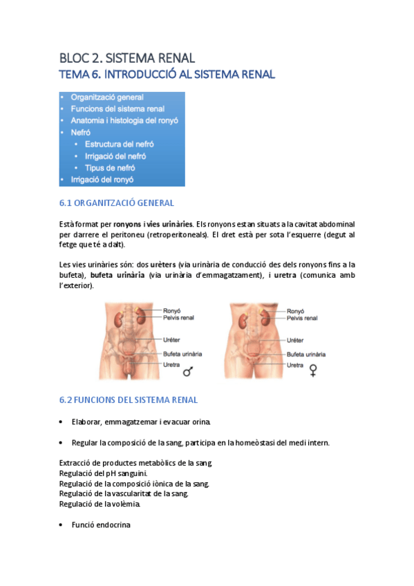 Miniatura del documento TEMA-6.pdf