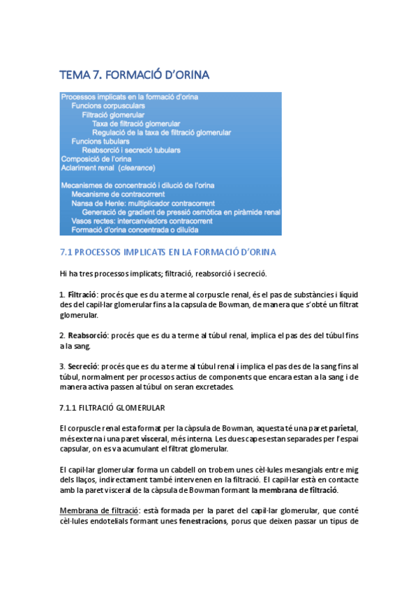 Miniatura del documento TEMA-7.pdf