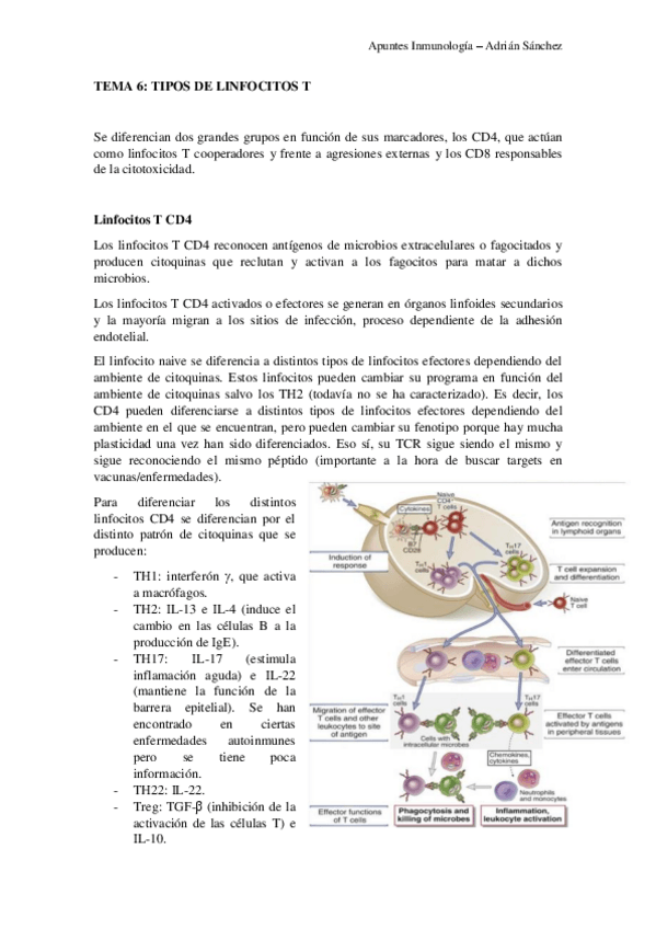 Miniatura del documento TEMA-6-Inmunologia.pdf