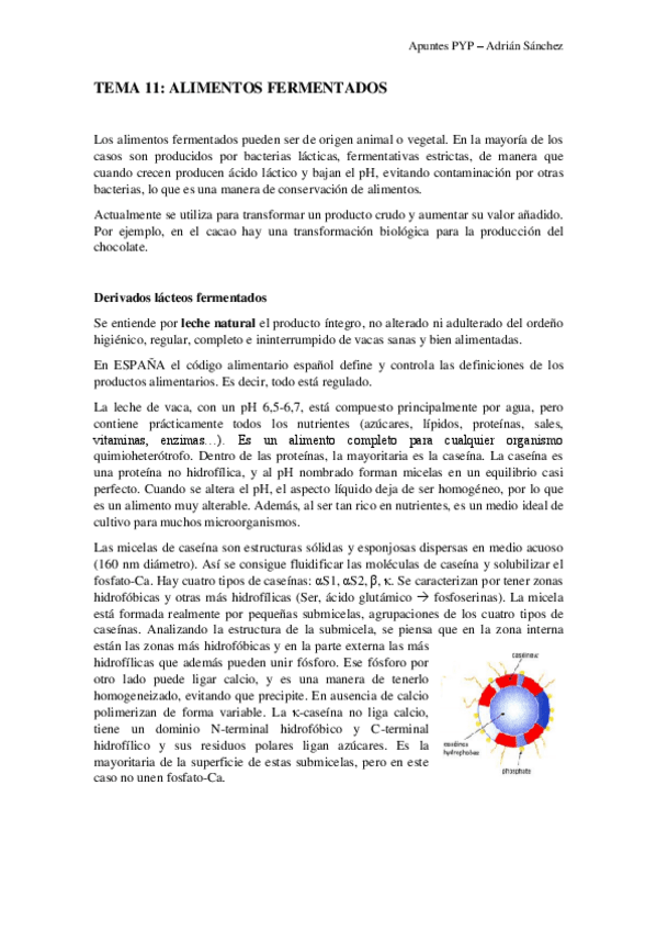 Miniatura del documento TEMA-11-PYP.pdf