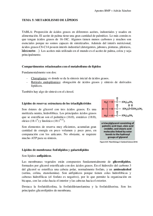 Miniatura del documento TEMA-5-BMP.pdf