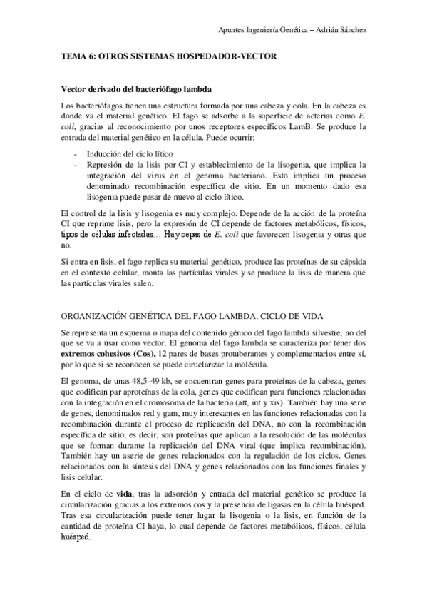 Miniatura del documento TEMA-6-IG.pdf