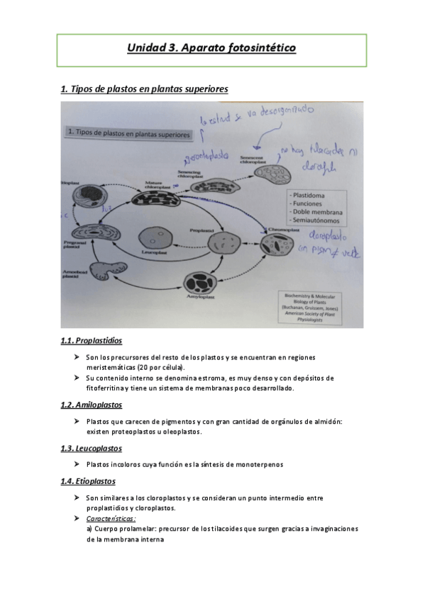 Miniatura del documento Tema-3.pdf