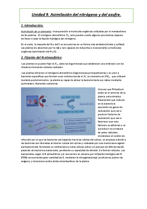 Miniatura del documento Tema-9.pdf