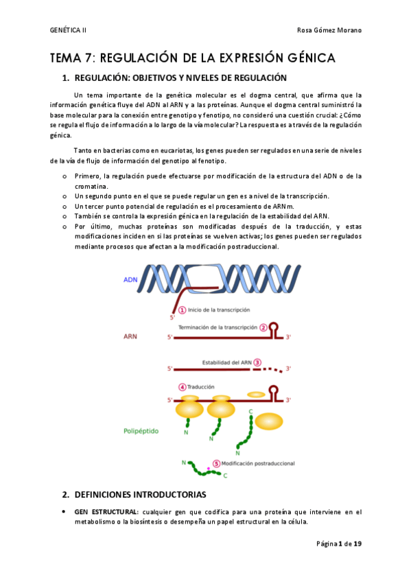 Miniatura del documento TEMA-7.pdf