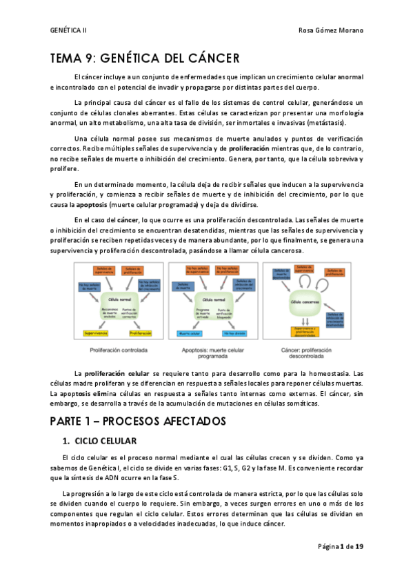 Miniatura del documento TEMA-9.pdf