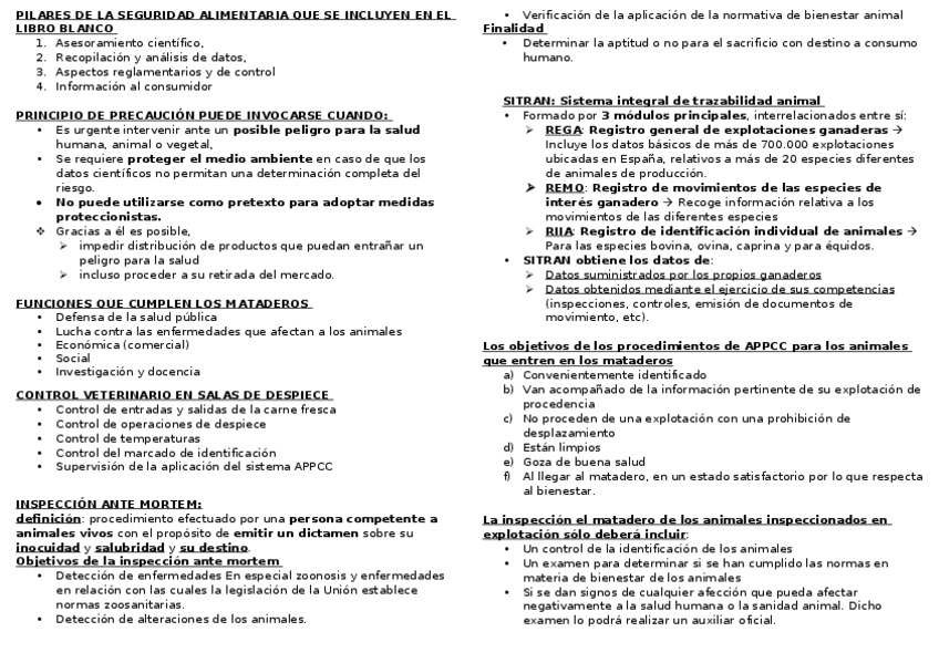 Miniatura del documento preguntas-cortas-sobre-la-carne.docx