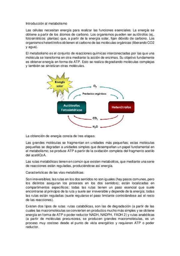 Miniatura del documento Introduccion-al-metabolismo.pdf