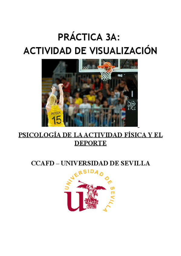 Miniatura del documento Informe-3A-Visualizacion.pdf