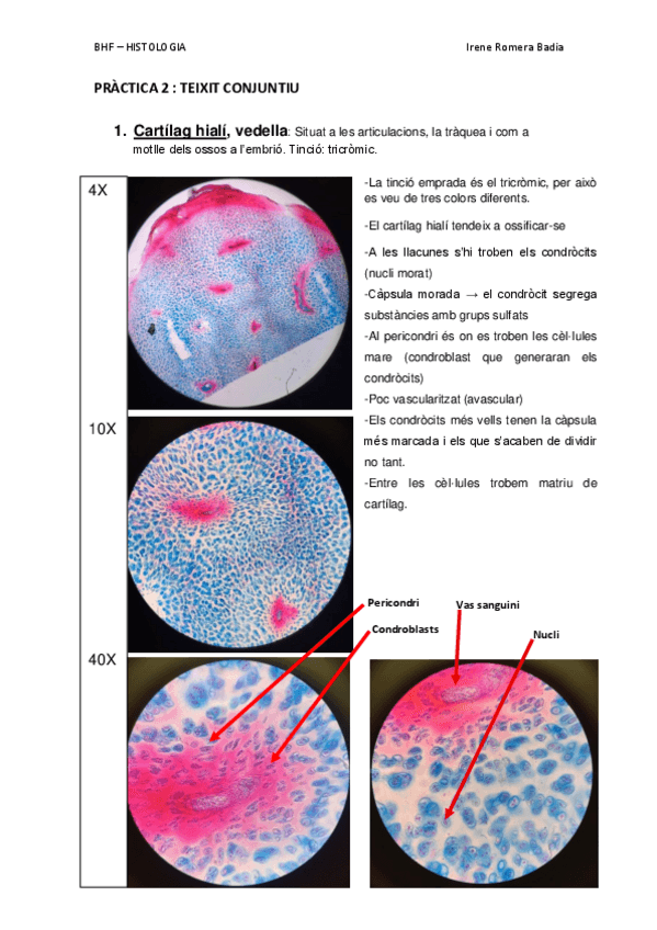 Miniatura del documento P2-TEIXIT-CONJUNTIU.pdf