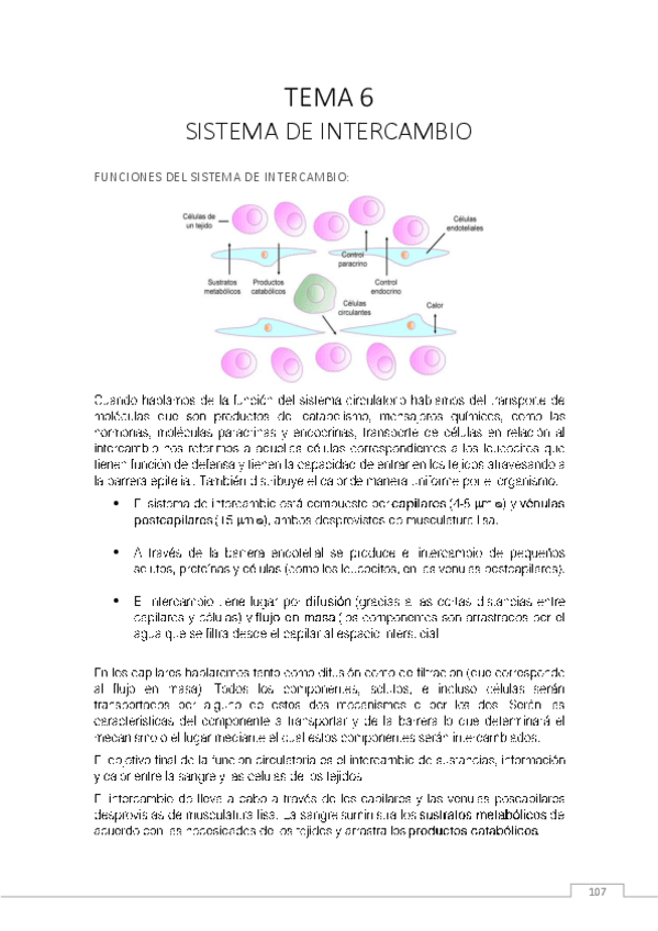 Miniatura del documento CM6.pdf