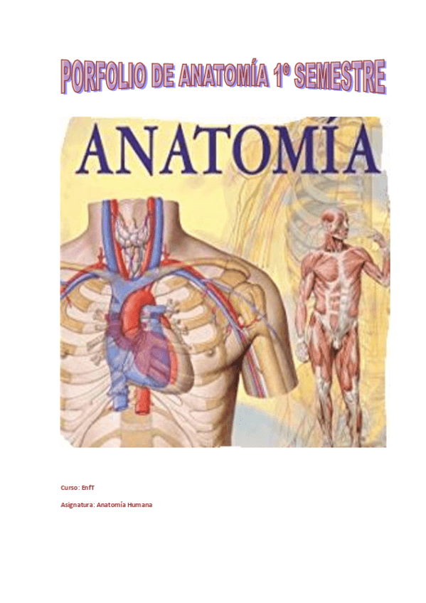 Miniatura del documento Porfolio-anatomia-1o-semestre.pdf