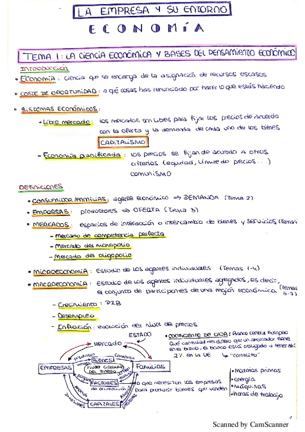 Miniatura del documento APUNTES-COMPLETOS-ECONOMIA.pdf