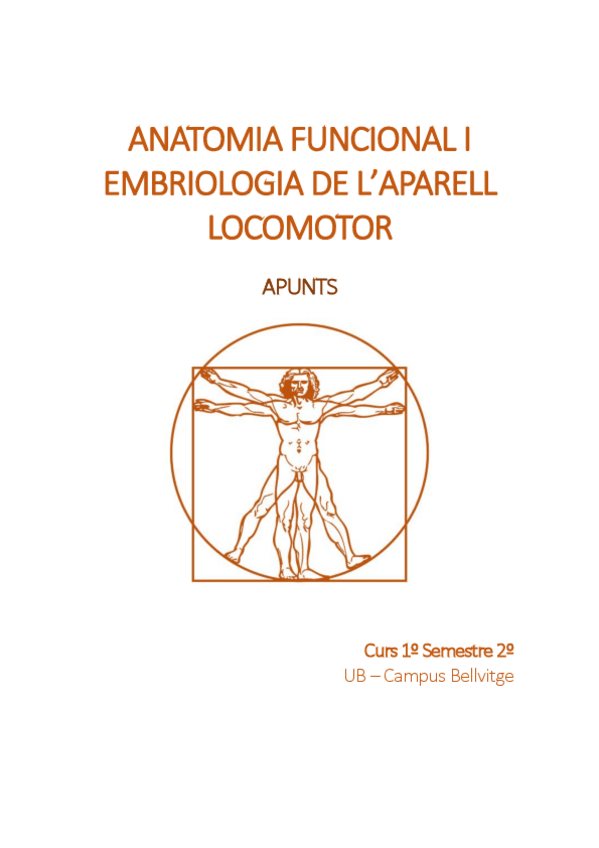 Miniatura del documento Apunts-anato-classes-teoriques.pdf