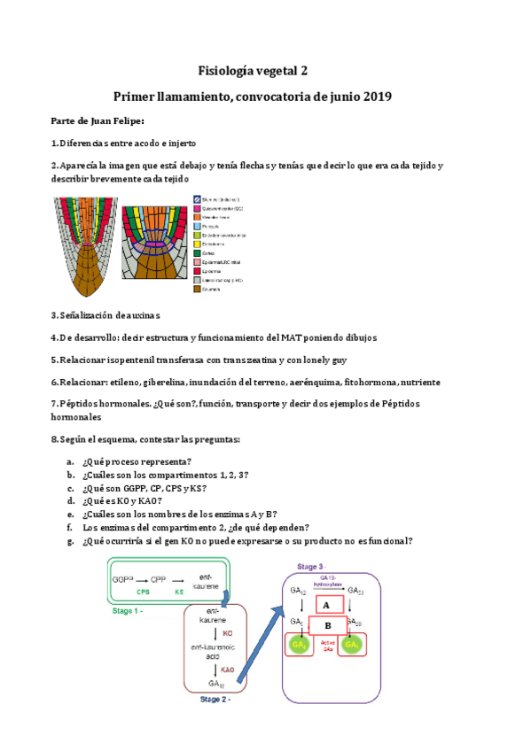 Miniatura del documento Examen-fisiologia-vegetal2.pdf