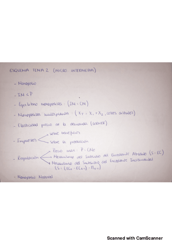 Miniatura del documento Esquema-TEMA-2.pdf