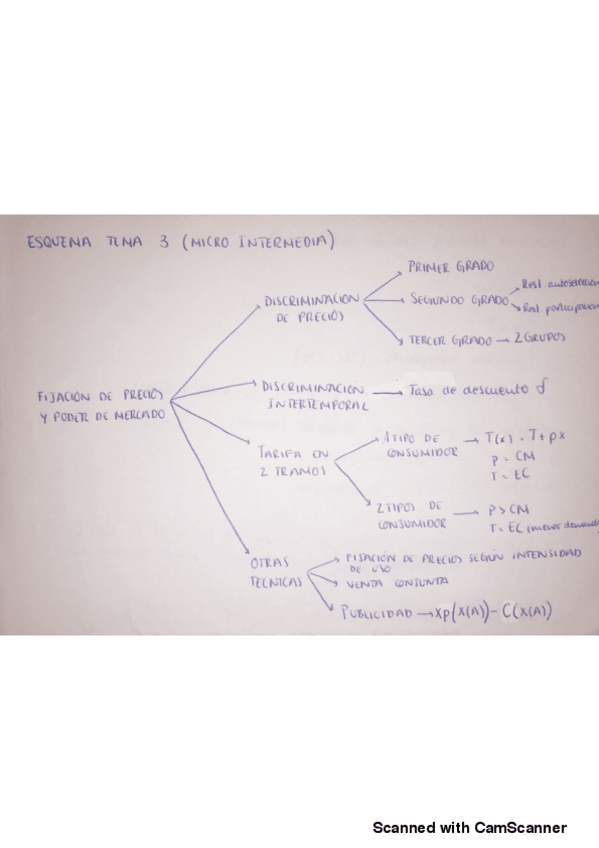 Miniatura del documento Esquema-TEMA-3.pdf