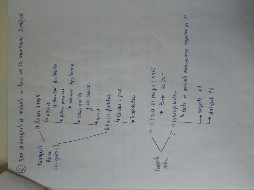 Miniatura del documento 15619977300431517776187979386245.jpg