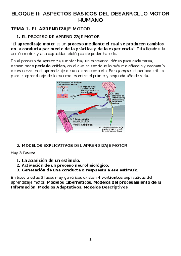 Miniatura del documento BLOQUE-II-Fundamentos-resumen.docx