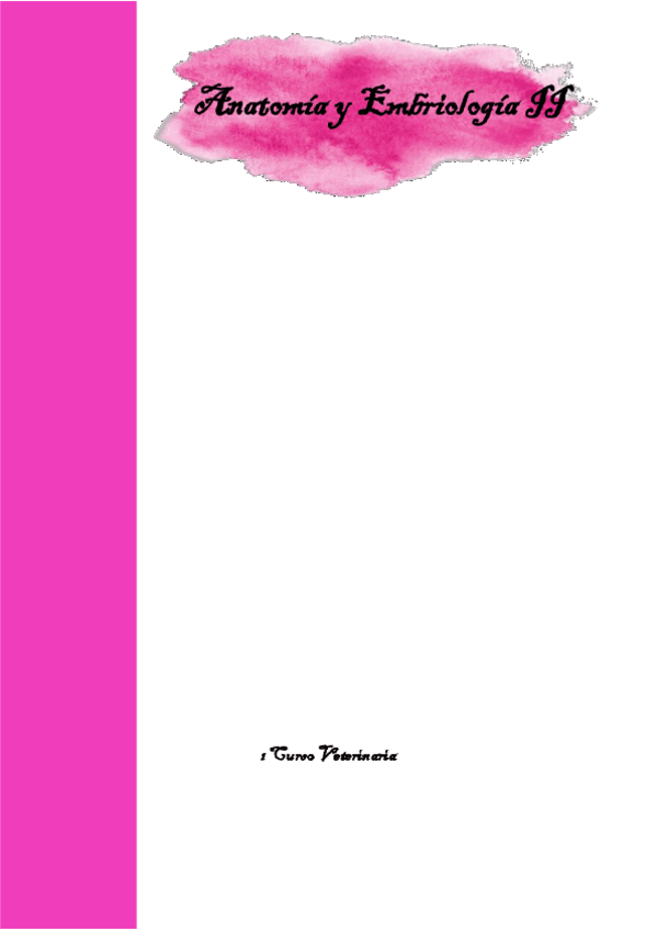 Miniatura del documento Embriologia-y-Anatomia-II.pdf