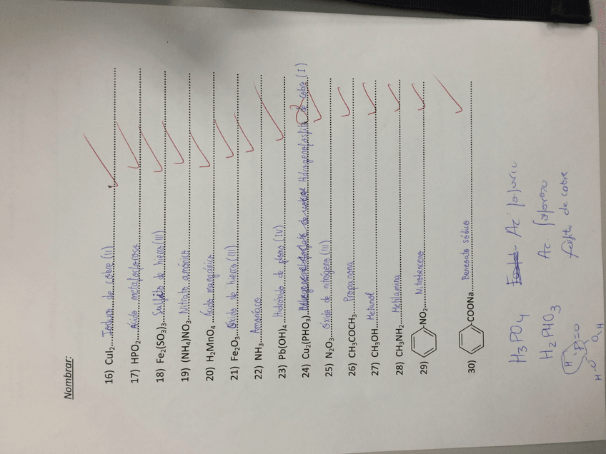 Miniatura del documento IMG_0667.JPG