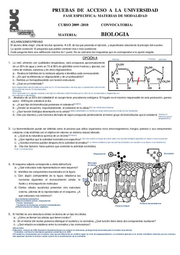 Miniatura del documento sept 2009-2010 fase específica.pdf