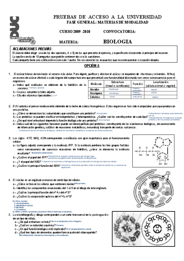 Miniatura del documento Junio 2009-2010.pdf