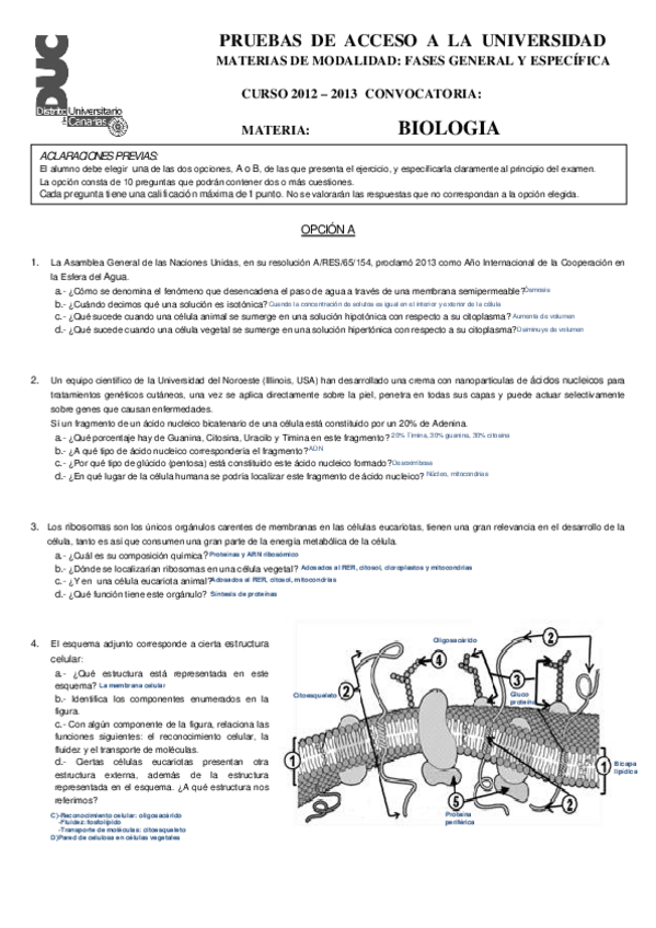 Miniatura del documento julio 2012-2013.pdf
