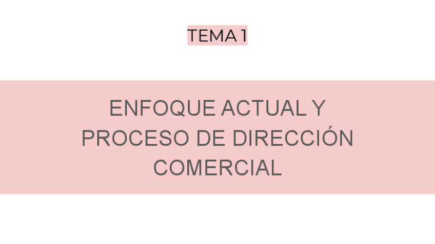 Miniatura del documento mercadotecnia.pdf