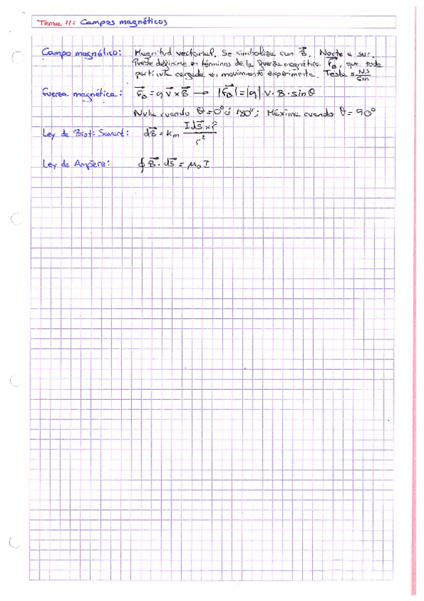 Miniatura del documento Tema-11-Campos-magneticos.pdf