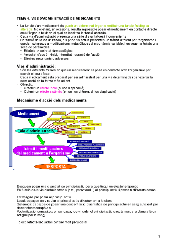 Miniatura del documento IFG-BLOC-II.pdf