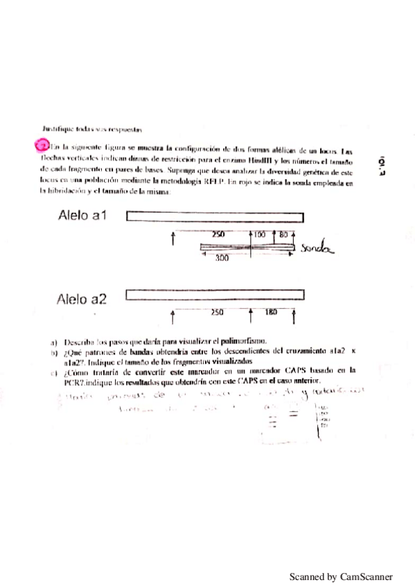 Miniatura del documento examen-2011-resuelto.pdf