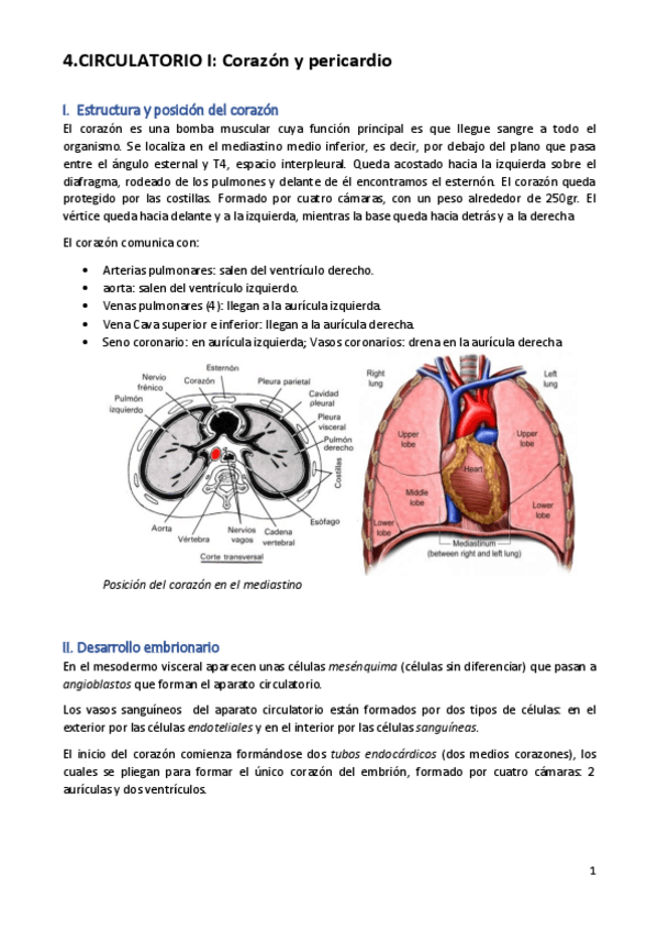 Miniatura del documento t4-.pdf