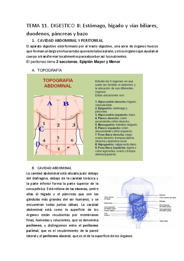 Miniatura del documento t11.pdf