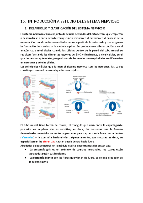 Miniatura del documento t16.pdf