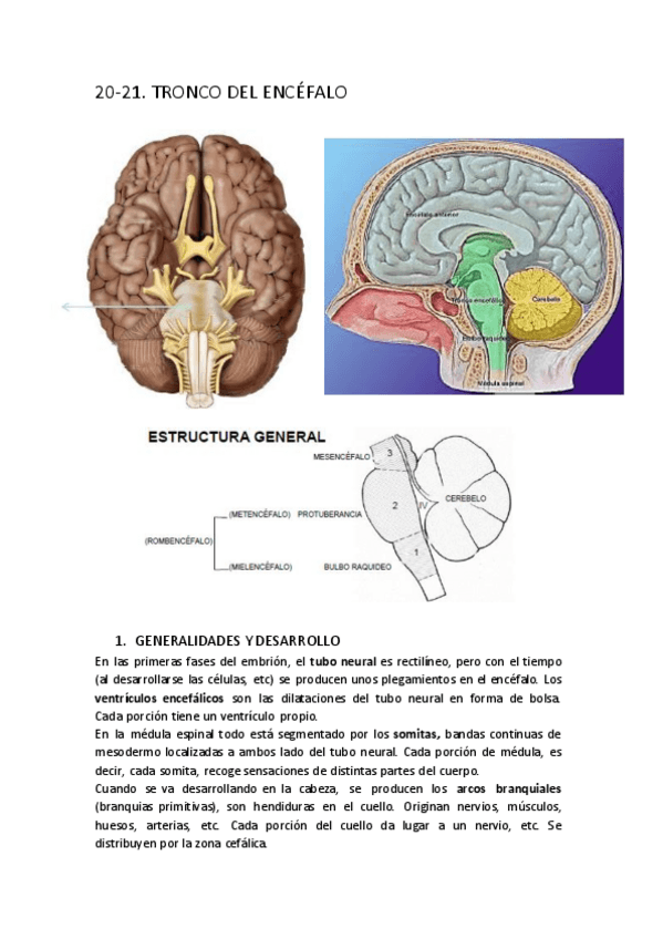 Miniatura del documento T20y21.pdf