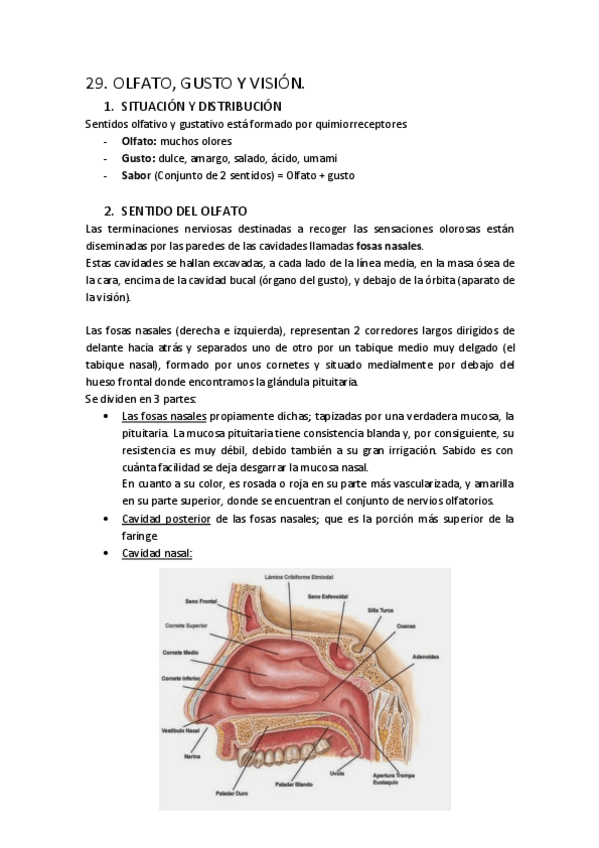 Miniatura del documento T29.pdf