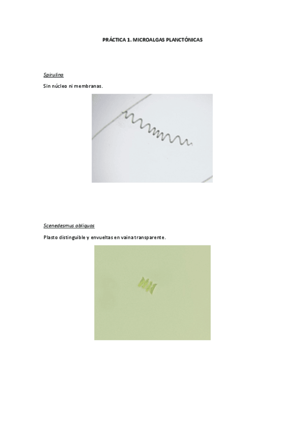 Miniatura del documento Visu-Botanica.pdf