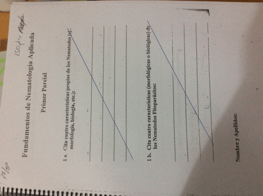 Miniatura del documento image.jpeg