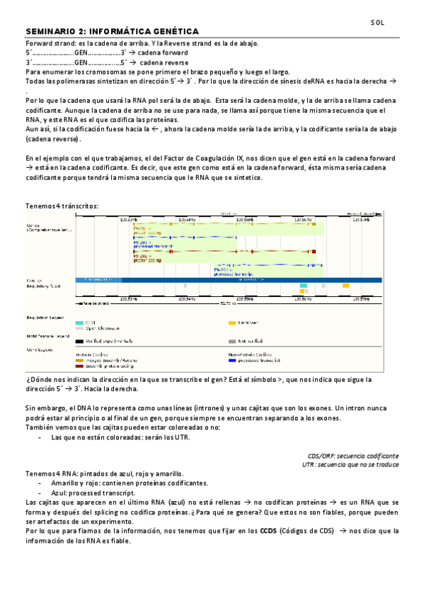 Miniatura del documento Sem-Inf-2.pdf