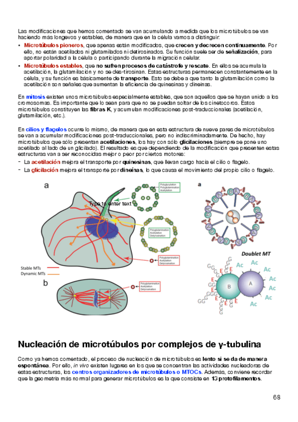 Miniatura del documento BLOQUE-III.pdf