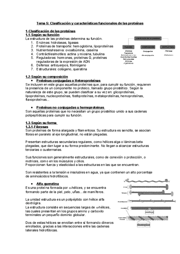 Miniatura del documento tema5.pdf