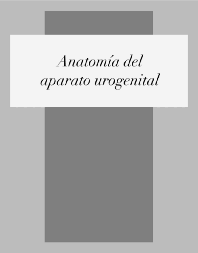 Miniatura del documento Practica-4-urogenital.pdf