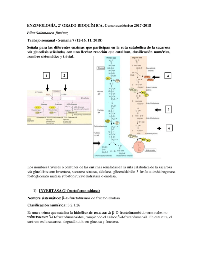 Miniatura del documento PilarSalamancaJimenezTareaSemanal7.pdf