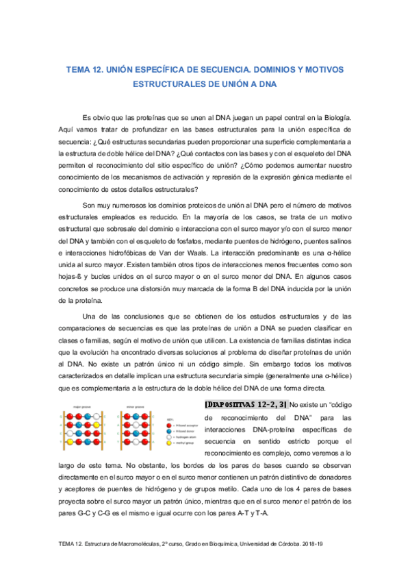 Miniatura del documento Tema-12-Interaccion-DNA-Proteina-especifica-2018-19.pdf