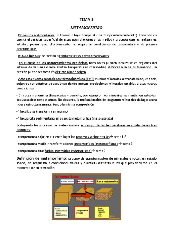 Miniatura del documento Resumen-TEMA-8.pdf