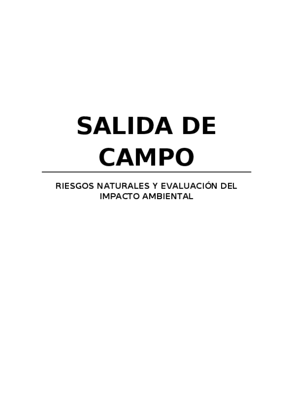 Miniatura del documento Riesgos-Salida-Ismael.docx