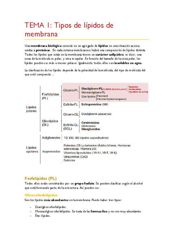Miniatura del documento TEMA-1.pdf