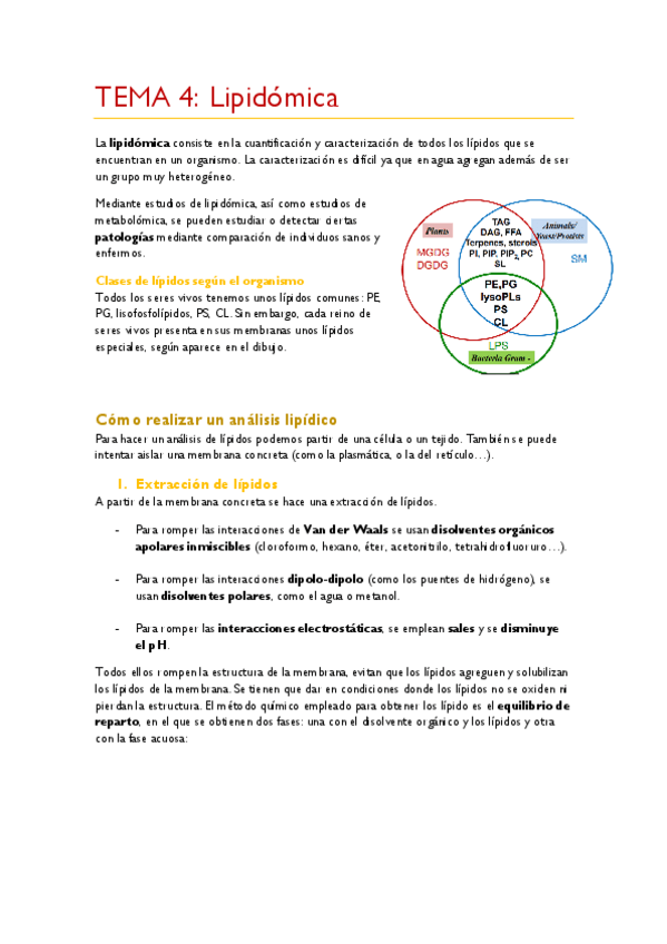 Miniatura del documento TEMA-4.pdf